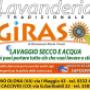 i girasoli