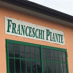Societa' Agricola Vivai Piante
