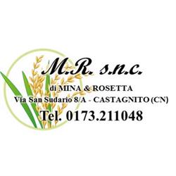 M.r. S.n.c. Di Mina Pier Giorgio & Rosetta Alberto