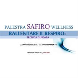 Safiro Palestre e Fitness