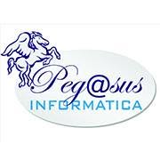 Pegasus Informatica S.r.l