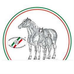 Associazione Nazionale Allevatori Del Cavallo Agricolo Italiano Da T. P. r.