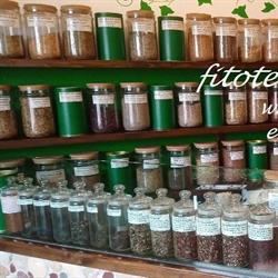 Erboristeria Panacea S.n.c Di Ferrari Ginevra Luigi e C.