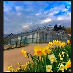 Il Villaggio dei Fiori