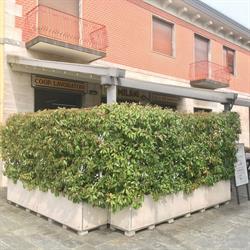 Bigio Bar S.n.c. Di Majerna Diego e Furnari Vincenza