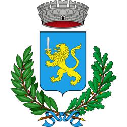 Comune Di Vigonovo