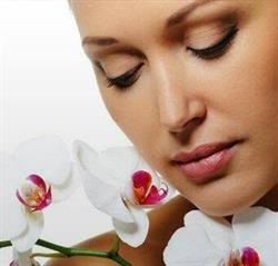 Estetica Shanti