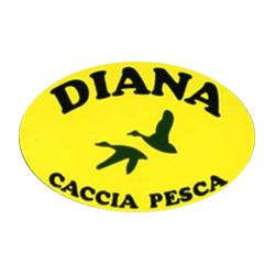 Armeria Diana Caccia e Pesca