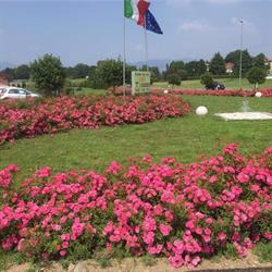 Tiozzo Fausto Azienda Agricola