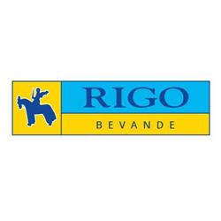 Rigo S r l