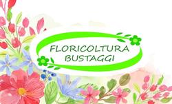 Societa' Agricola Floricoltura Bustaggi Di Bustaggi Ivano e C. S.A.S.