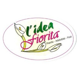 Fiori e Piante L'Idea Fiorita