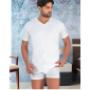 T-SHIRT Uomo Art.AUGUSTO Scollo V M/Manica
Intimo UOMO 100% Cotone
Colori disponibili : BIANCO
Made in ITALY