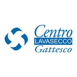Lavasecco Gattesco