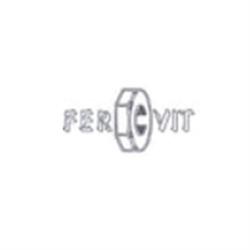 Fer Vit