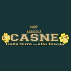 Società Agricola Cooperativa del Casne