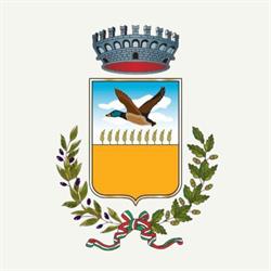 Comune Di Zapponeta