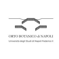 Museo di Paleobotanica ed Etnobotanica Dell'orto Botanico