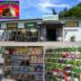 Interno Negozio Agrizoo