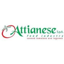 Attianese S.p.a