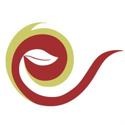 Importea S.r.l