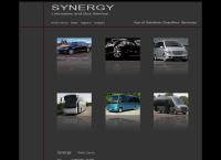 Synergy S.r.l