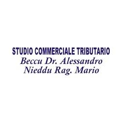 Igs Consult
