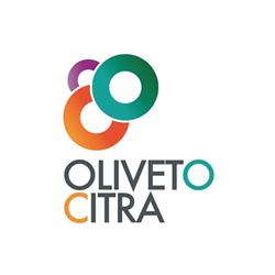 Comune Di Oliveto Citra