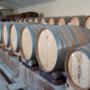 La Cantina della Vernaccia