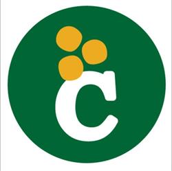 Cangianiello Luigi & C S.a.s Centralino
