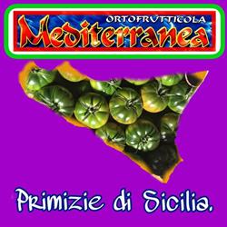 Ortofrutticola Mediterranea Di Tuccitto S. Magazzino