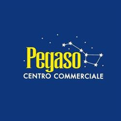 Consorzio Centro Commerciale Pegaso