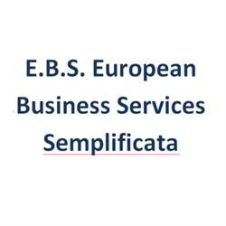 E.B.S. European Business Services