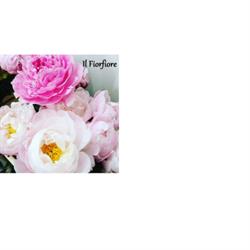 Il Fiorfiore