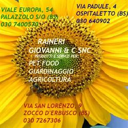 Raineri Giovanni e C. S.n.c