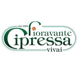Fioravante Cipressa Vivai Di Cipressa Agr. Carmine