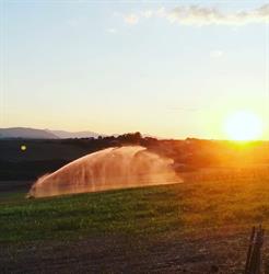 Azienda Agricola Colle Grande di Nicoli Benedetto