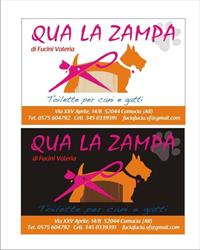 Toelettatura Qua La Zampa - Camucia