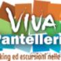 Caricato da visitatore il 06/03/2016
