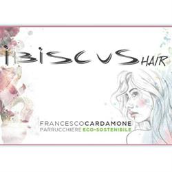 Parrucchiere Ibiscus
