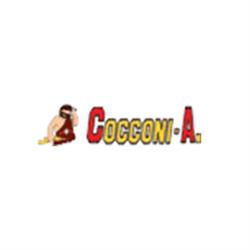 Cocconi Andrea Impianti Elettrici