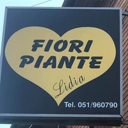 Fiori e Piante Lidia
