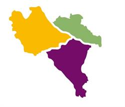 Fondazione Comunitaria Della Provincia Di Pavia Onlus