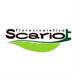 Scariot Marco Vivaio