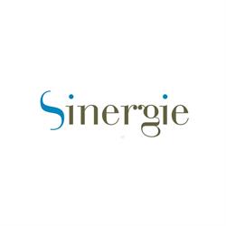 Sinergie Studio Associato Volumnia S.r.l