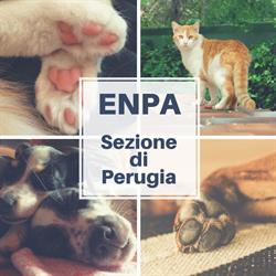 Ente Nazionale Protez. Animali Ente Nazionale Protezione Animali