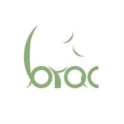 Libreria Brac