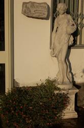 Vivai Sansone