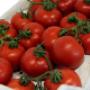 Pomodori