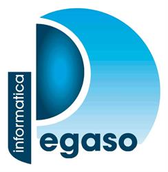 Pegaso Informatica S.r.l. Vendita e Assistenza Hardware e Software